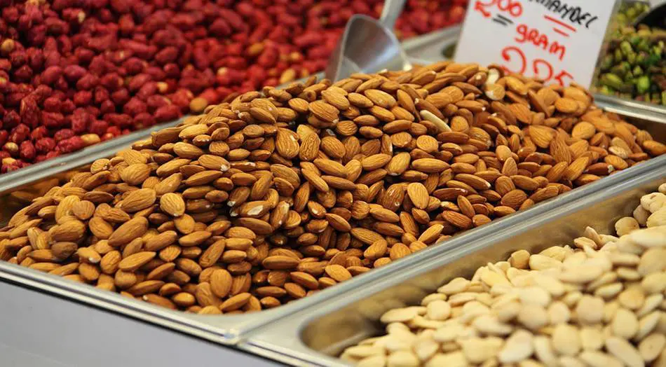 Ölsaaten - BioTechUSA