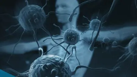 o_art89_1_20171016122513