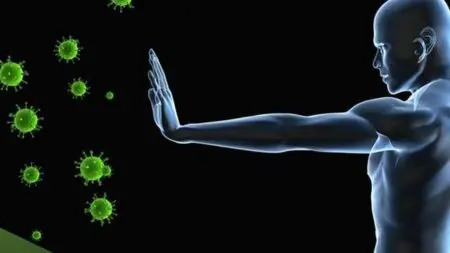 o_art89_2_20171016131208