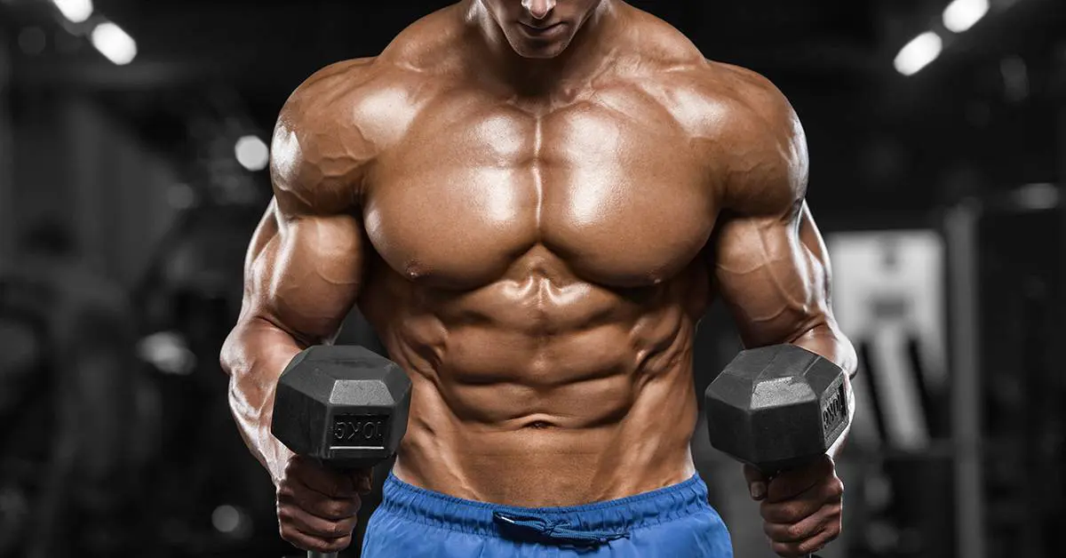 o_header_20181212084025