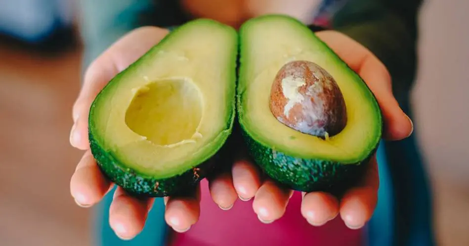 o_header_20190429142032