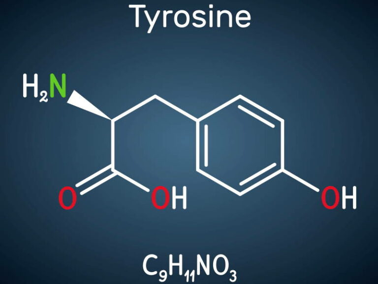 L-Tyrosin: Vorkommen, Wirkung und Funktionen