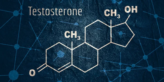 Was ist Testosteron? 