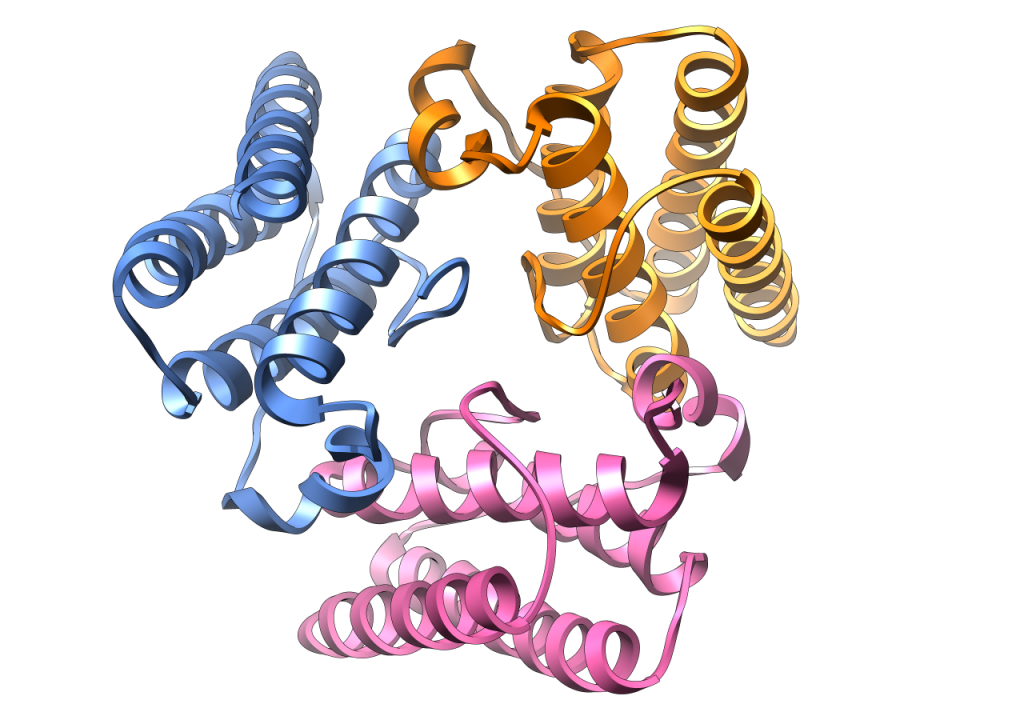Leptin - Sättigung und Hunger - BioTechUSA